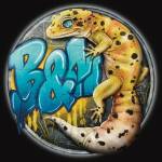 B&M Gecko profile picture