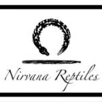 Nirvana Reptiles profile picture