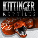 Kittinger Reptiles