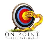 On Point Ball Pythons image.