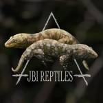 JBI Reptiles profile picture