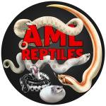 AML Reptiles profile picture