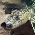 Bianca and Kayne Ramsay